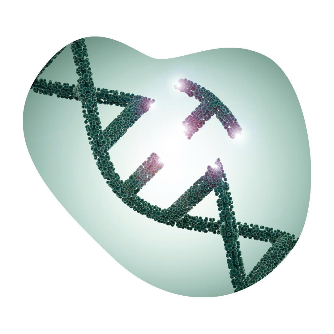 Weltfrieden Sabine Dasche-Benz, die Friedensgestalterin