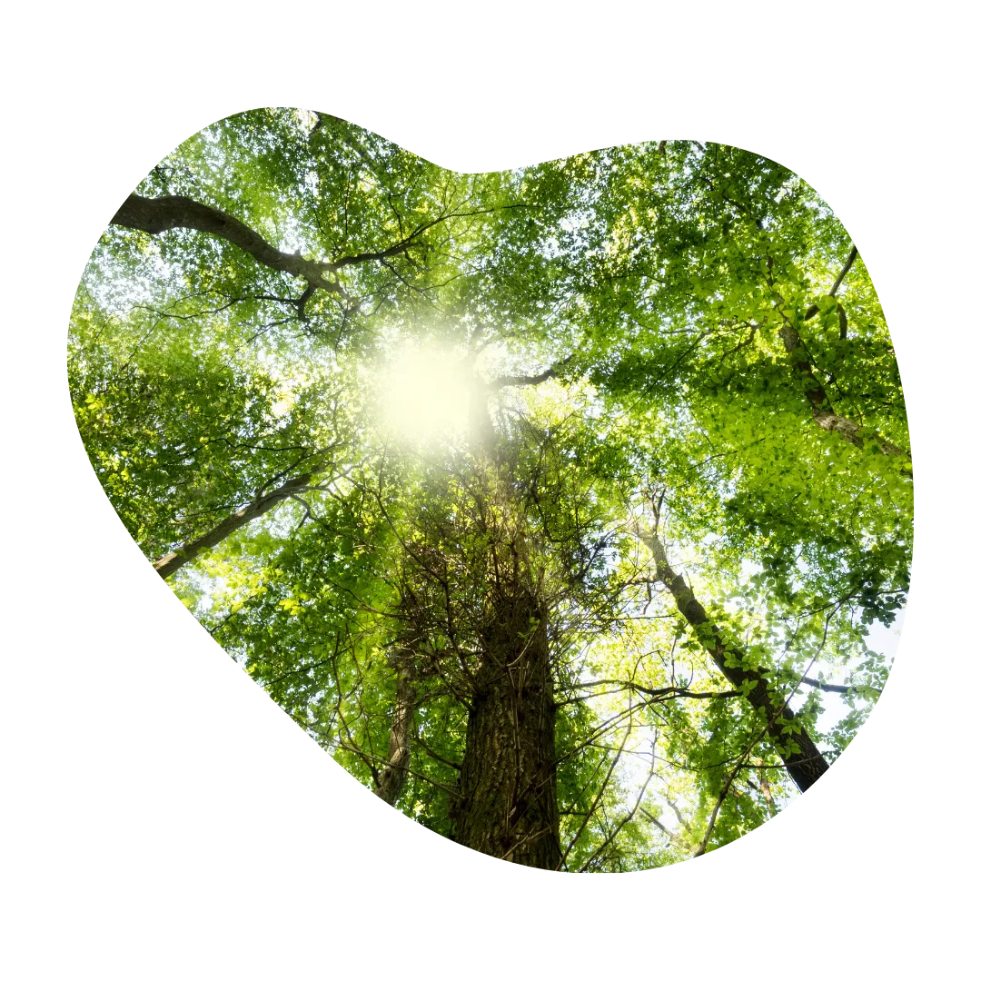 Innerer Frieden Sabine Dasche-Benz, die Friedensgestalterin